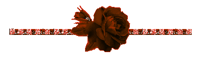 AWT IMAGE