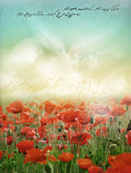 AWT IMAGE